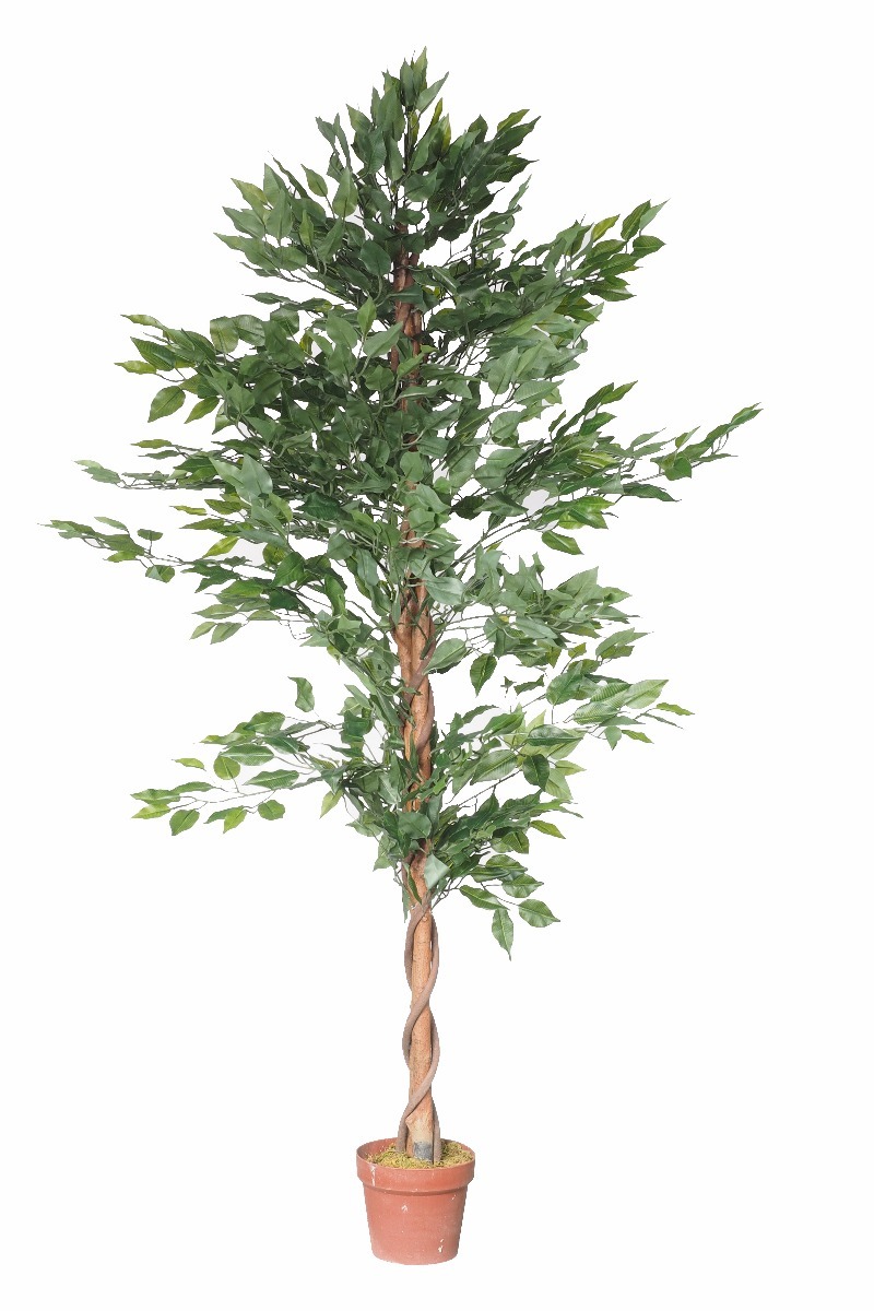 artificial-bushy-ficus-tree-180cm