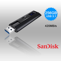 SanDisk 256GB Extreme PRO USB 3.2 Solid State Flash Drive (SDCZ880-256G)