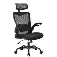 MONA Ergonomic High Back Flipped Armrest Task Chair In Black