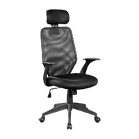 Ergonomic Mesh Office Chair