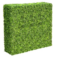 Mixed Boxwood Hedge UV Resistant 100cm Long x 100cm High