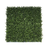 Premium Natural Buxus Hedge Panels UV Resistant 1m x 1m