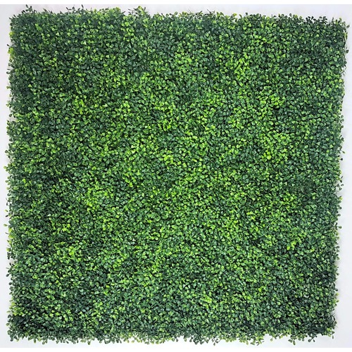 Mixed Boxwood Hedge Panels / Screens UV Resistant 1m x 1m